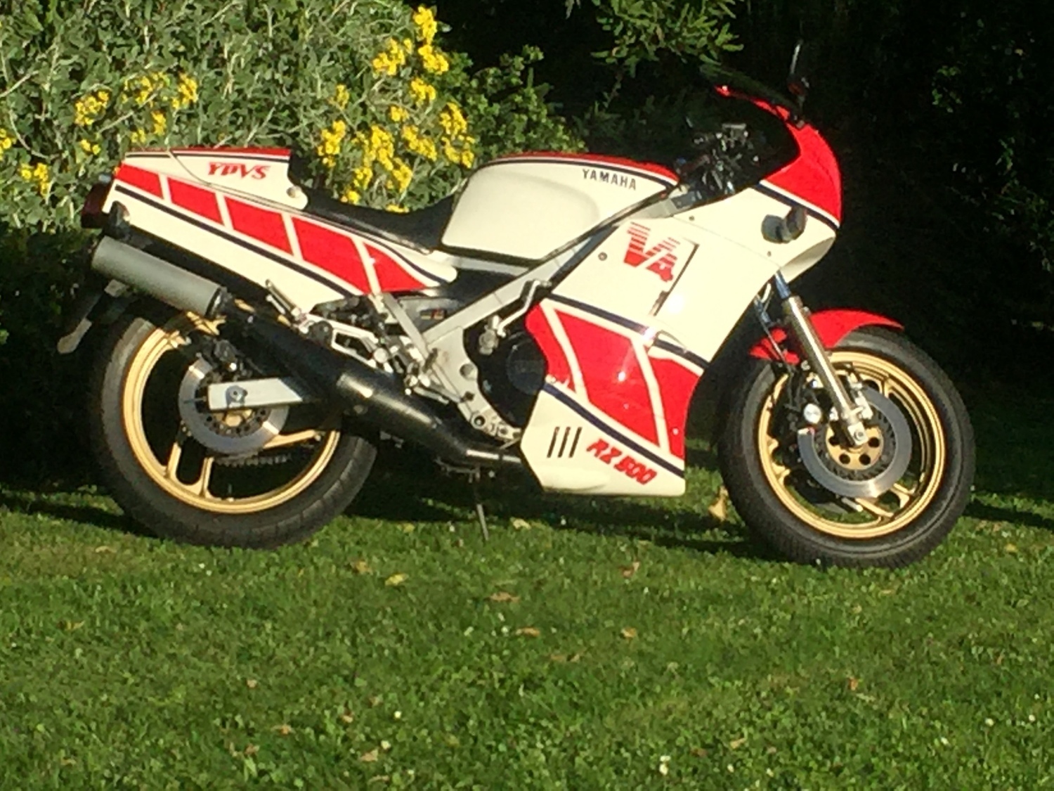 Bike Photo 2812990