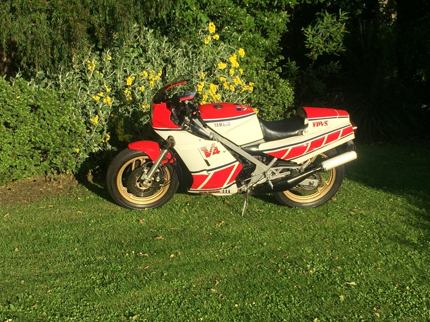Bike Photo 2812991