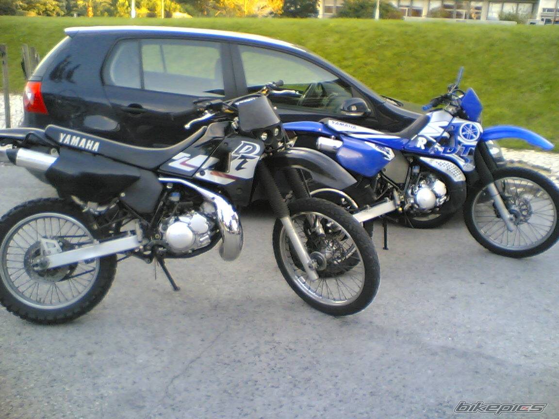 Photo 281321