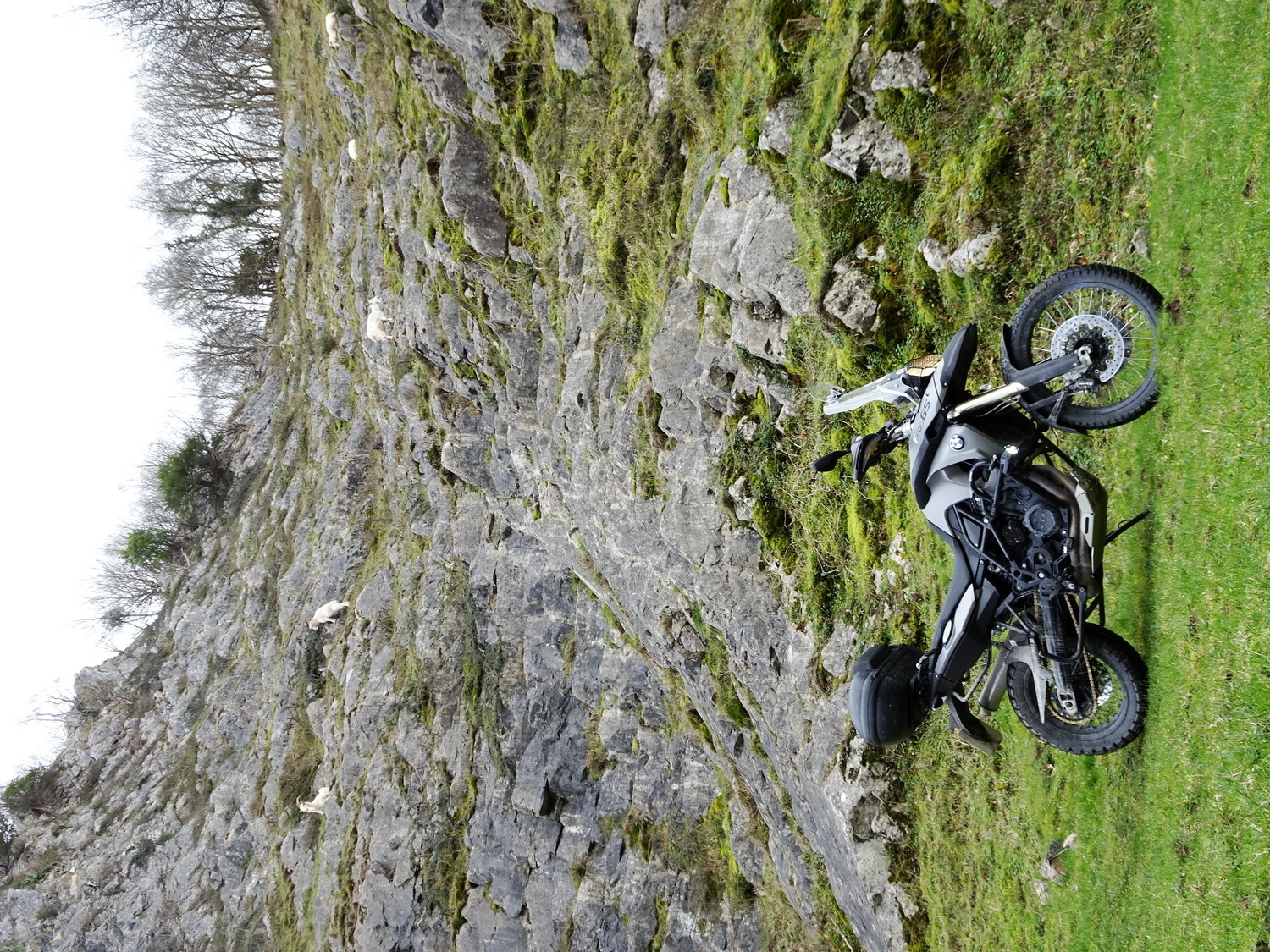 Photo 2813379