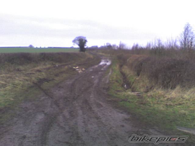Bike Photo 281348