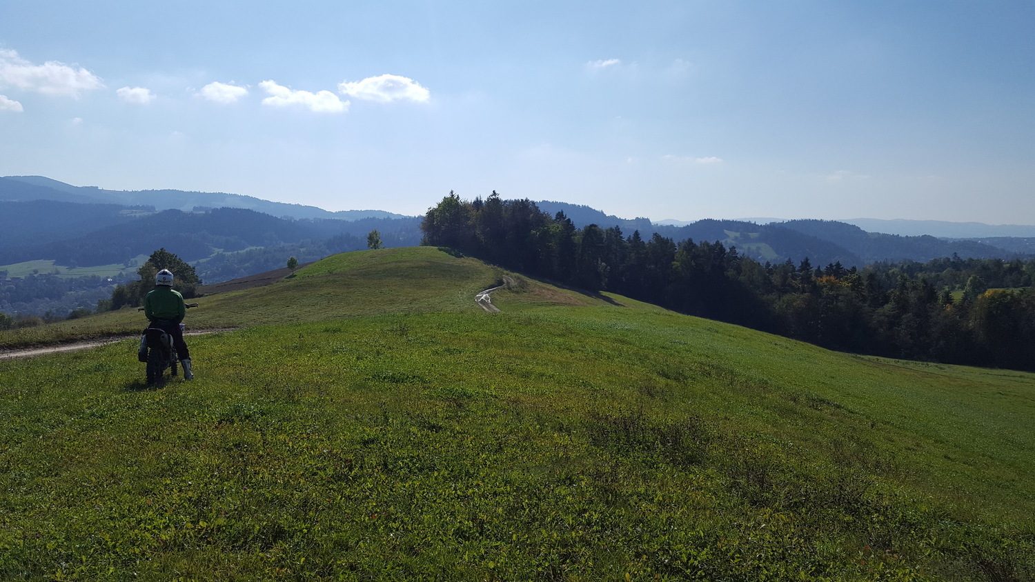 Photo 2813494