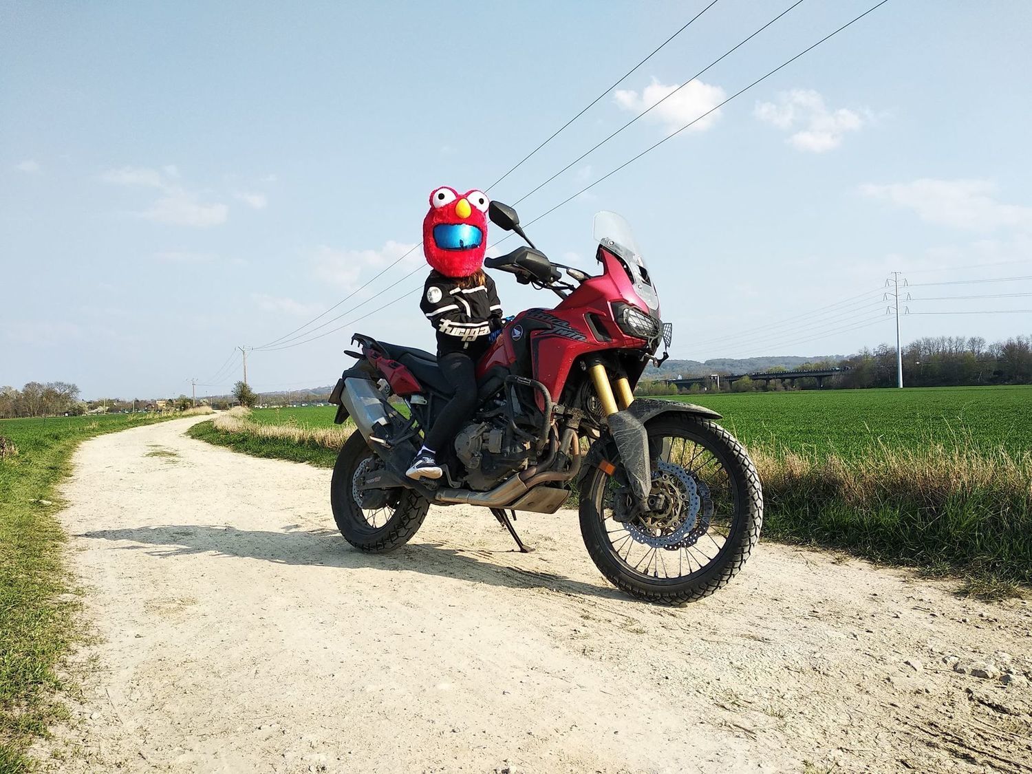 Photo 2813552