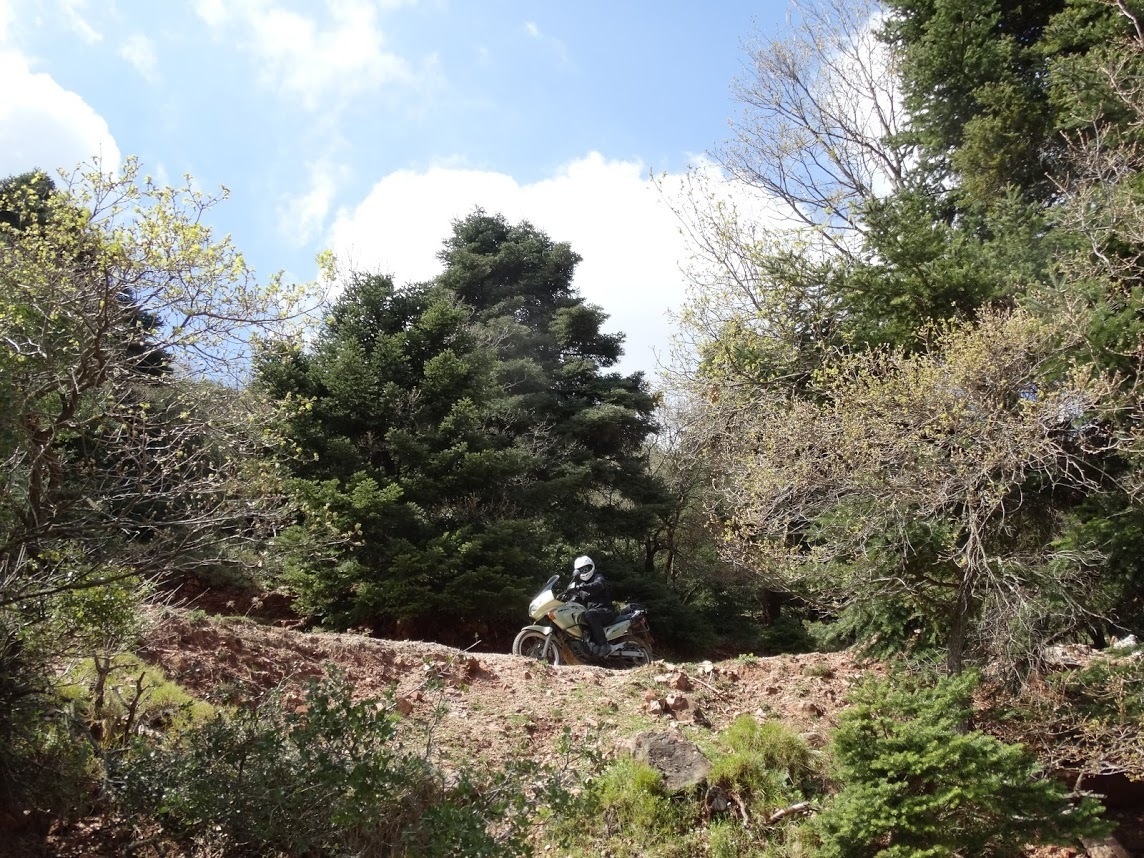 Photo 2813582