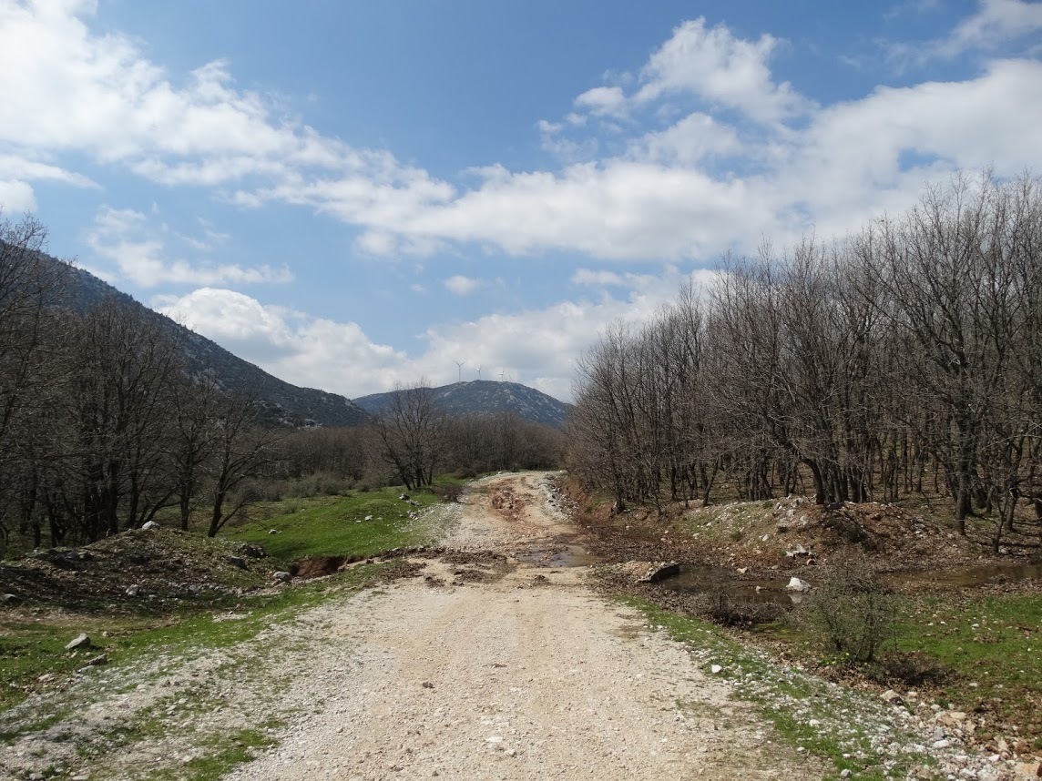Photo 2813584
