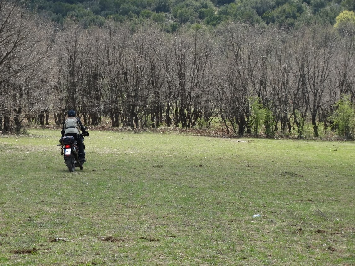 Photo 2813585