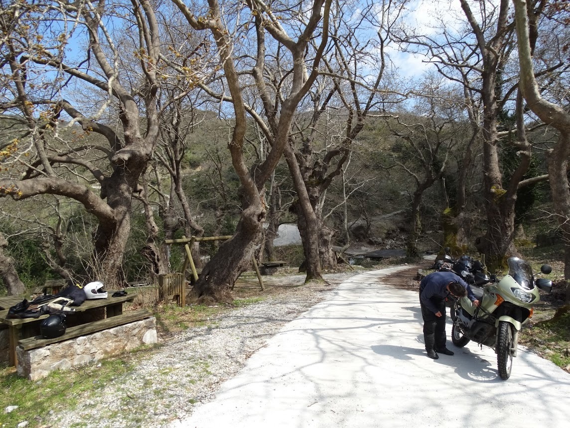 Photo 2813588
