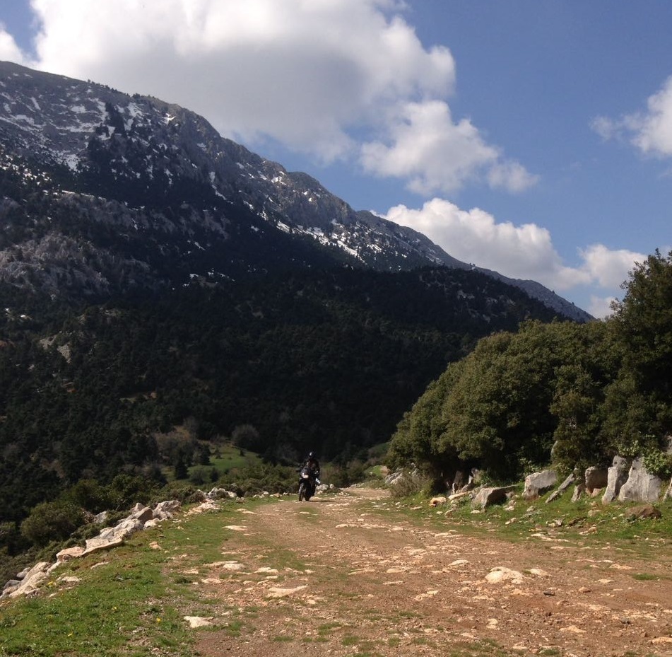 Photo 2813593