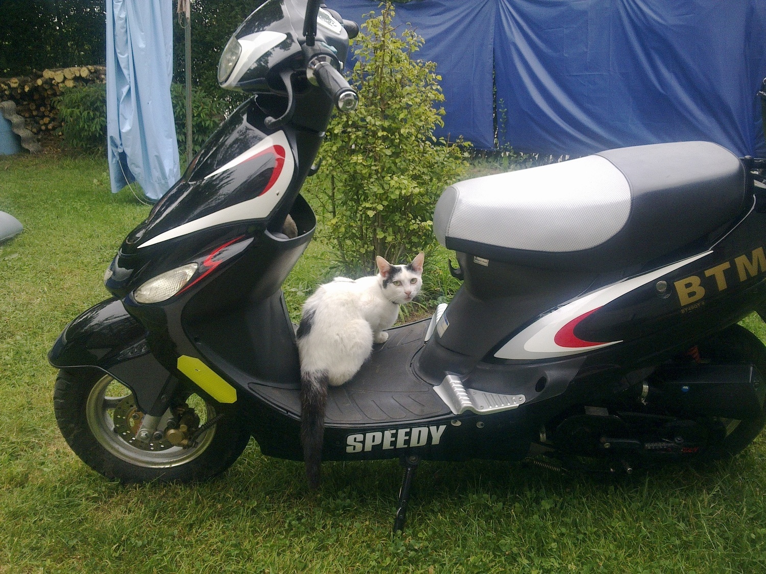 Bike Photo 2813639