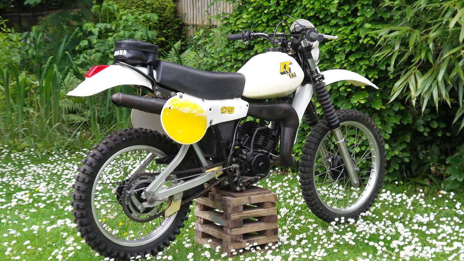 IT 175