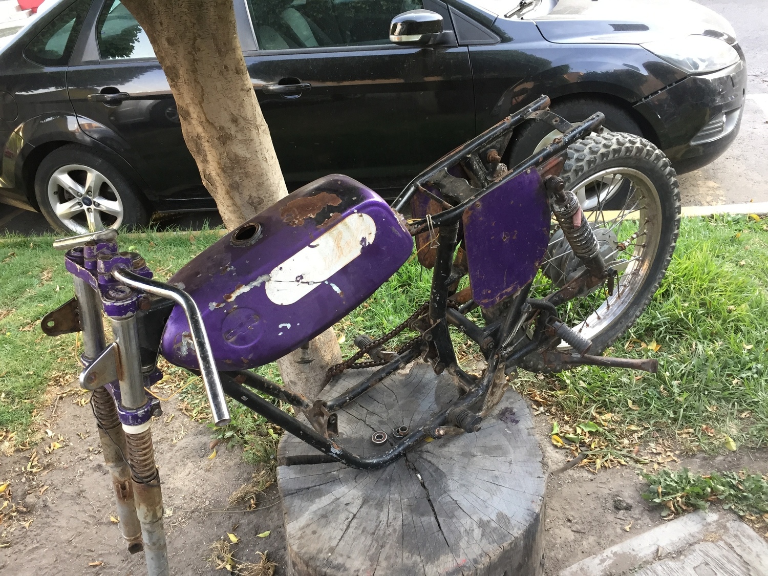 Photo 2813781