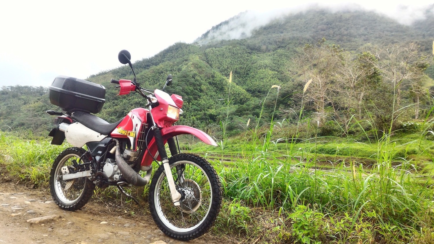 Bike Photo 2813828