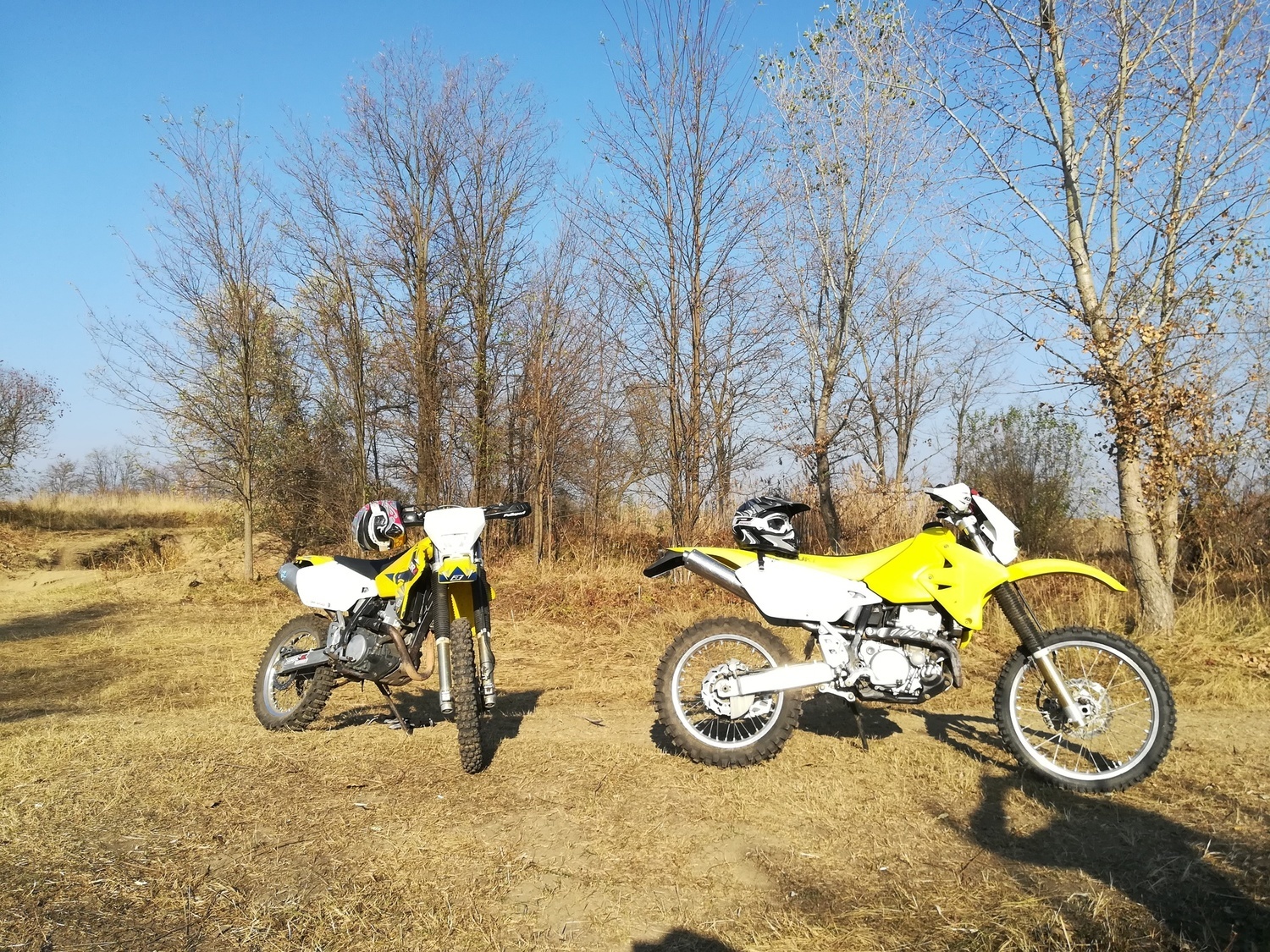 Photo 2813857
