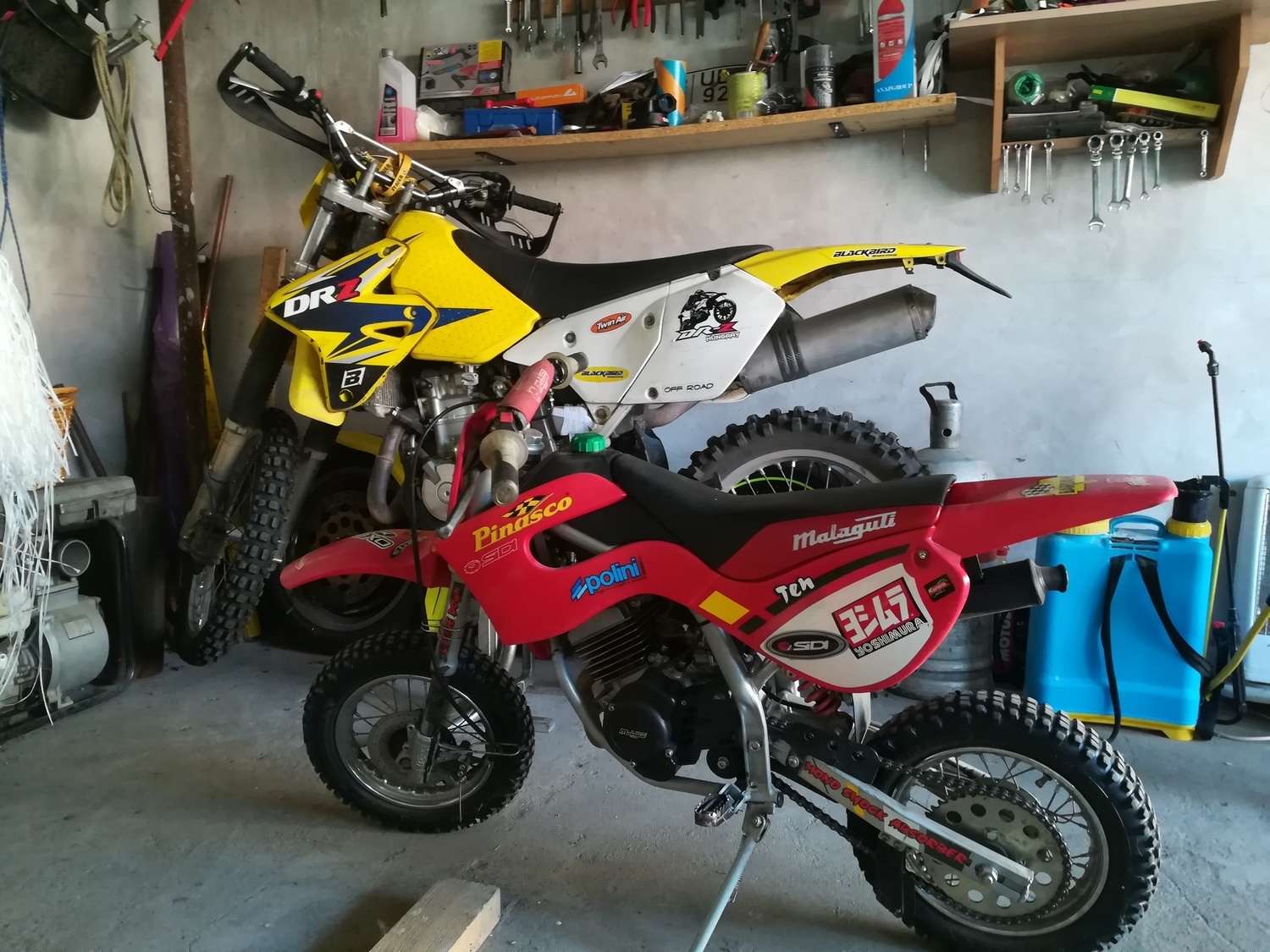 Photo 2813866