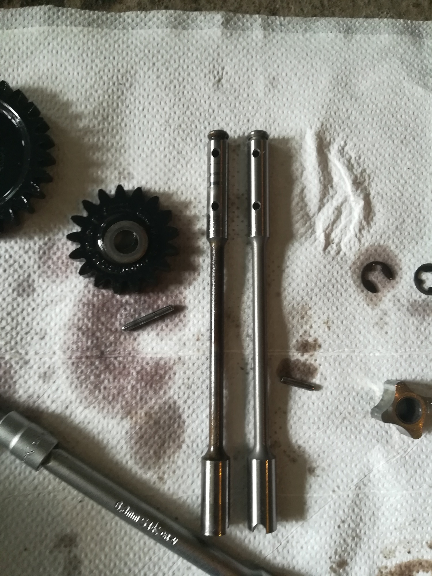 Photo 2813870