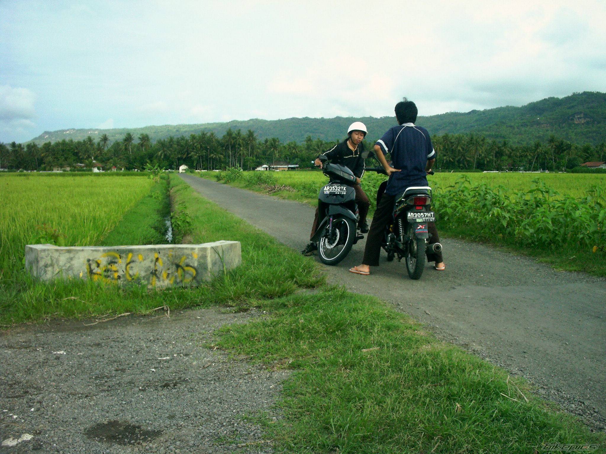Bike Photo 281388