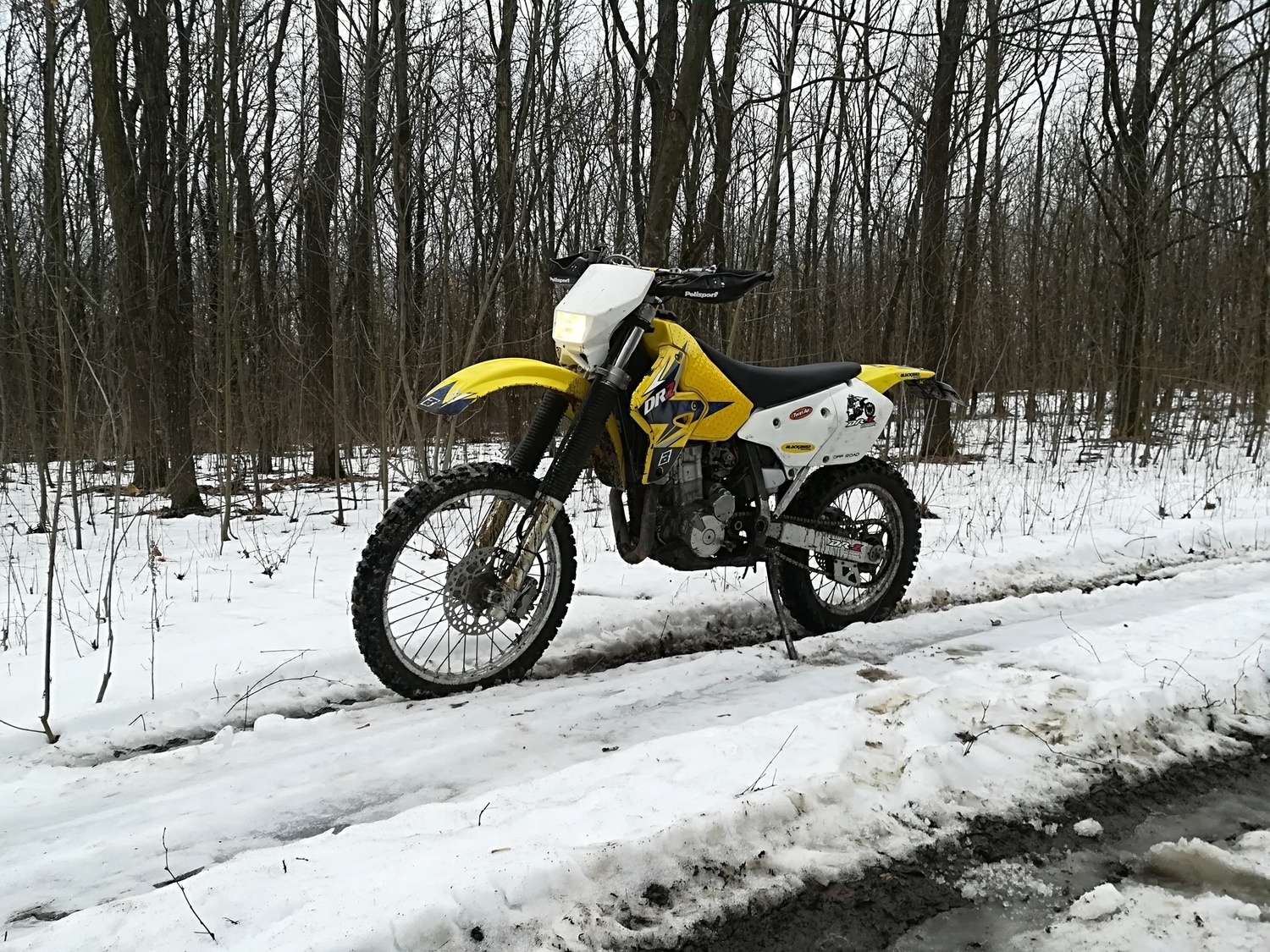 Photo 2813885