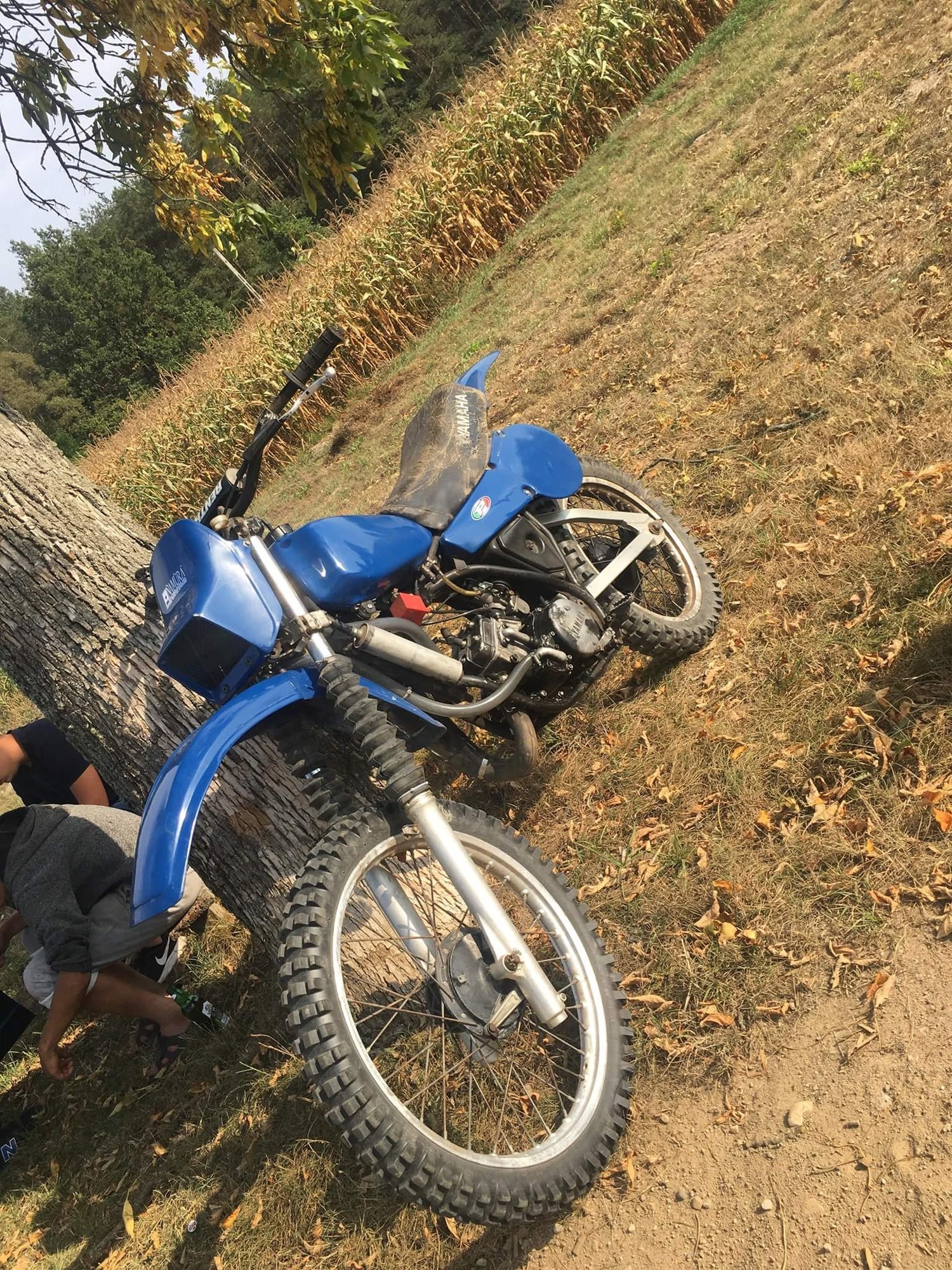 Photo 2813903