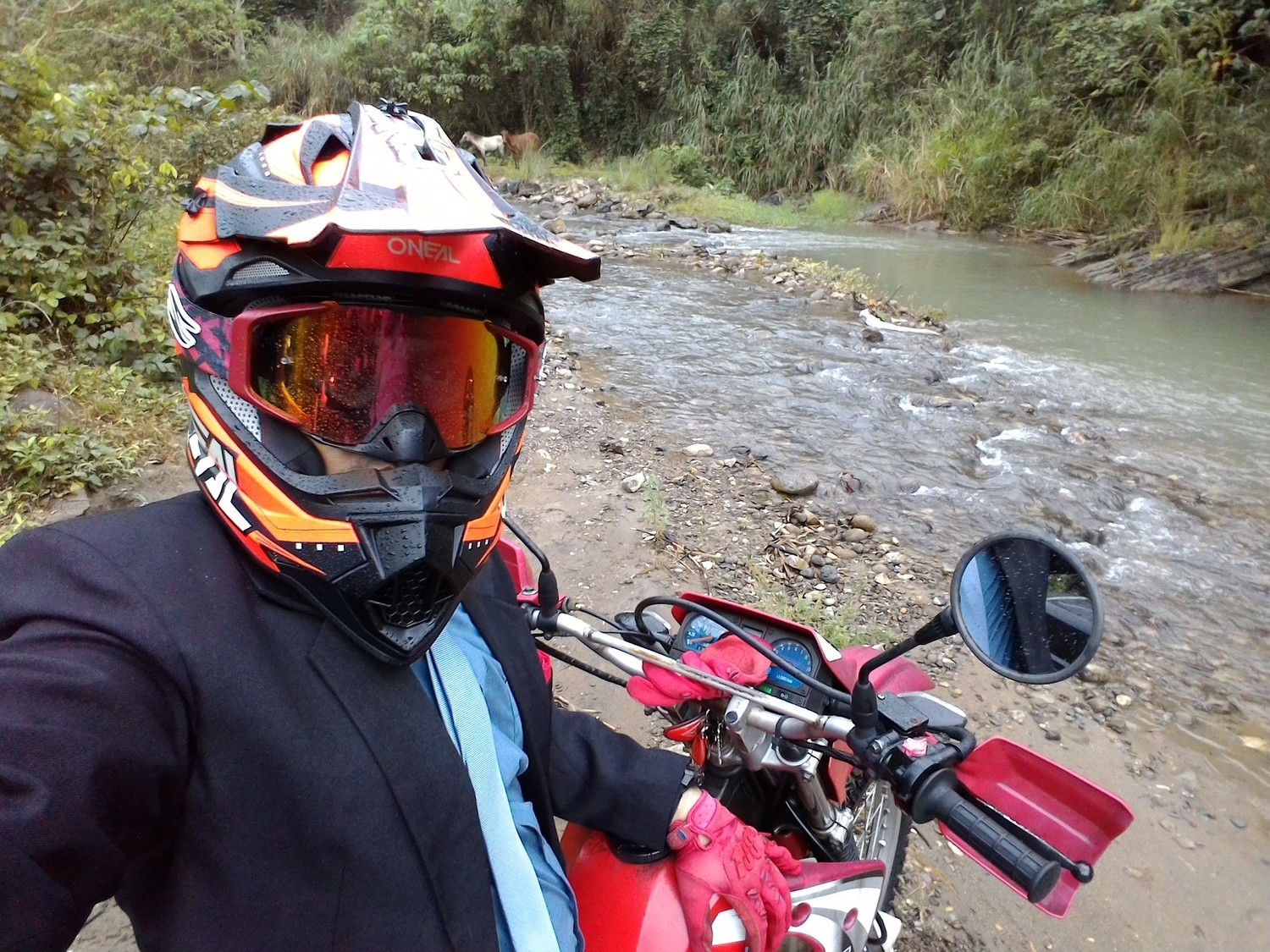 Bike Photo 2813932