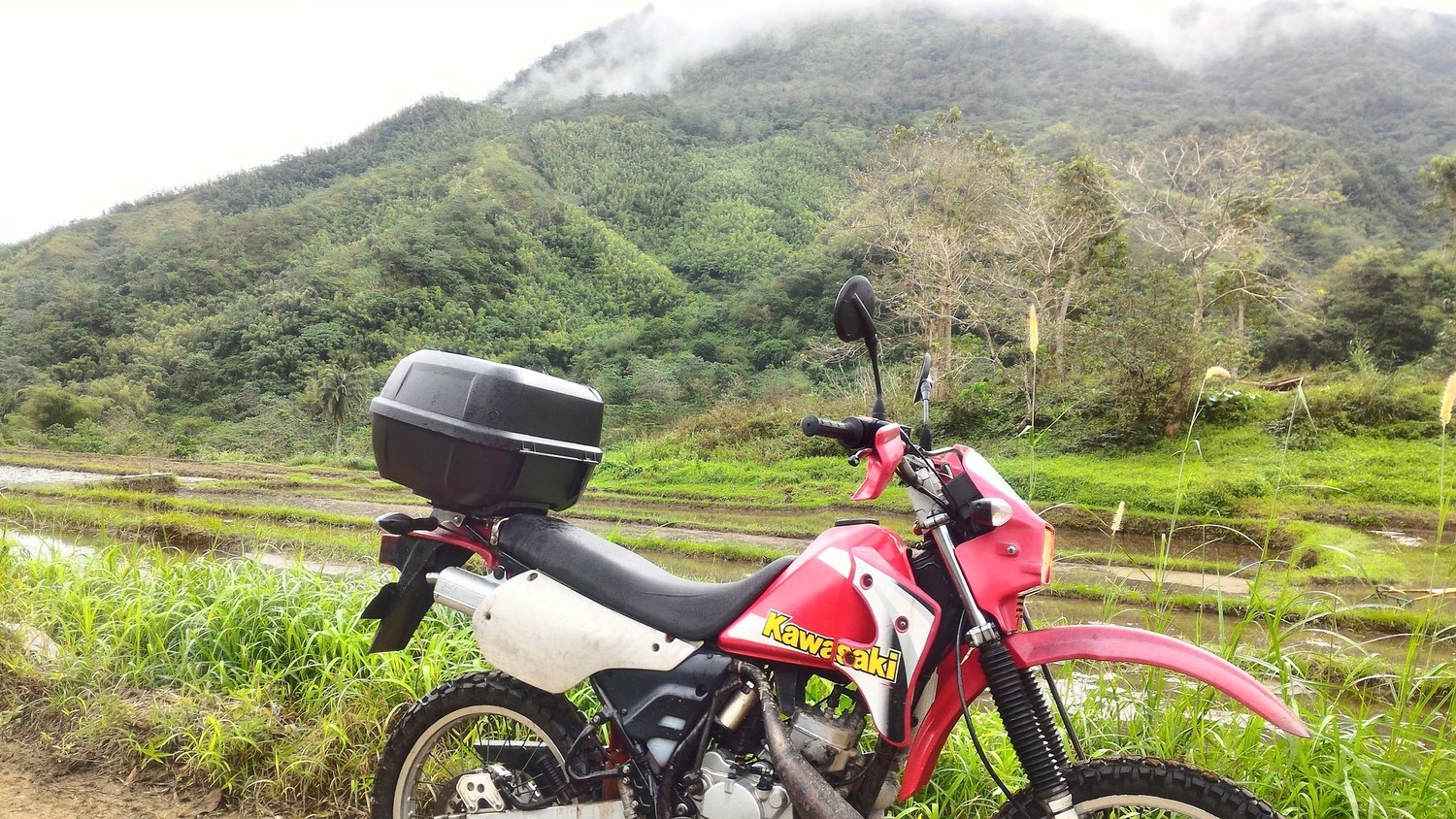 Bike Photo 2813934