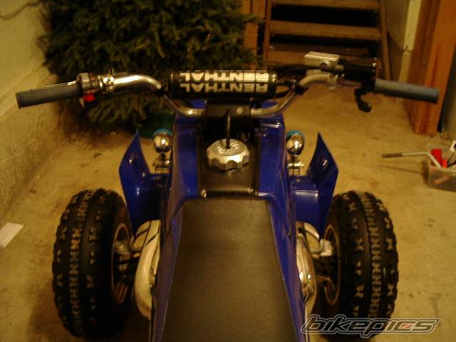 Photo 281399