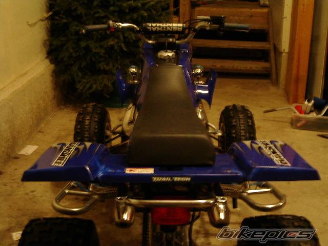 Photo 281401