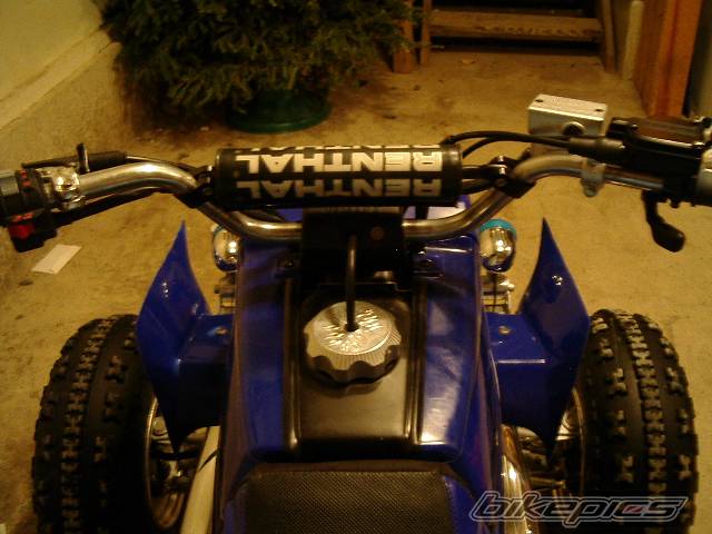 Photo 281404