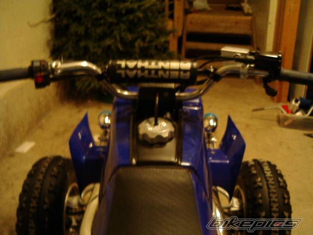 Photo 281406