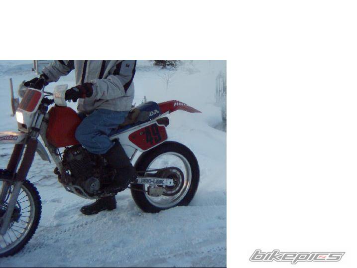 Bike Photo 281409
