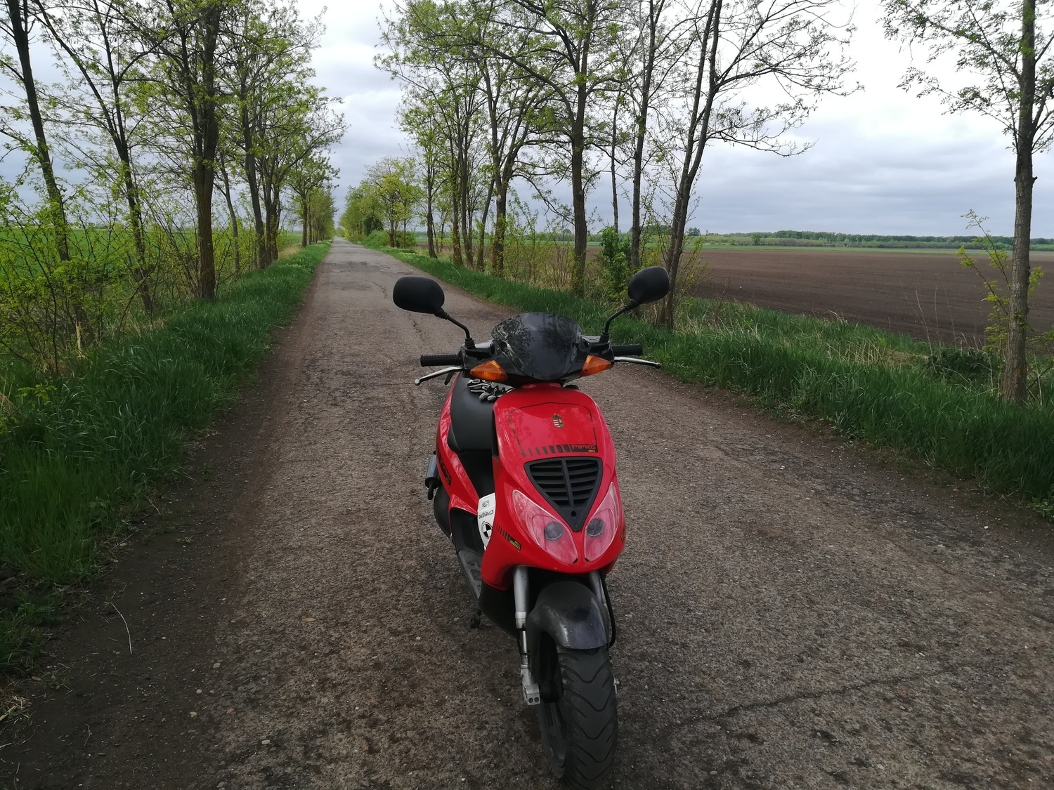 Photo 2814224