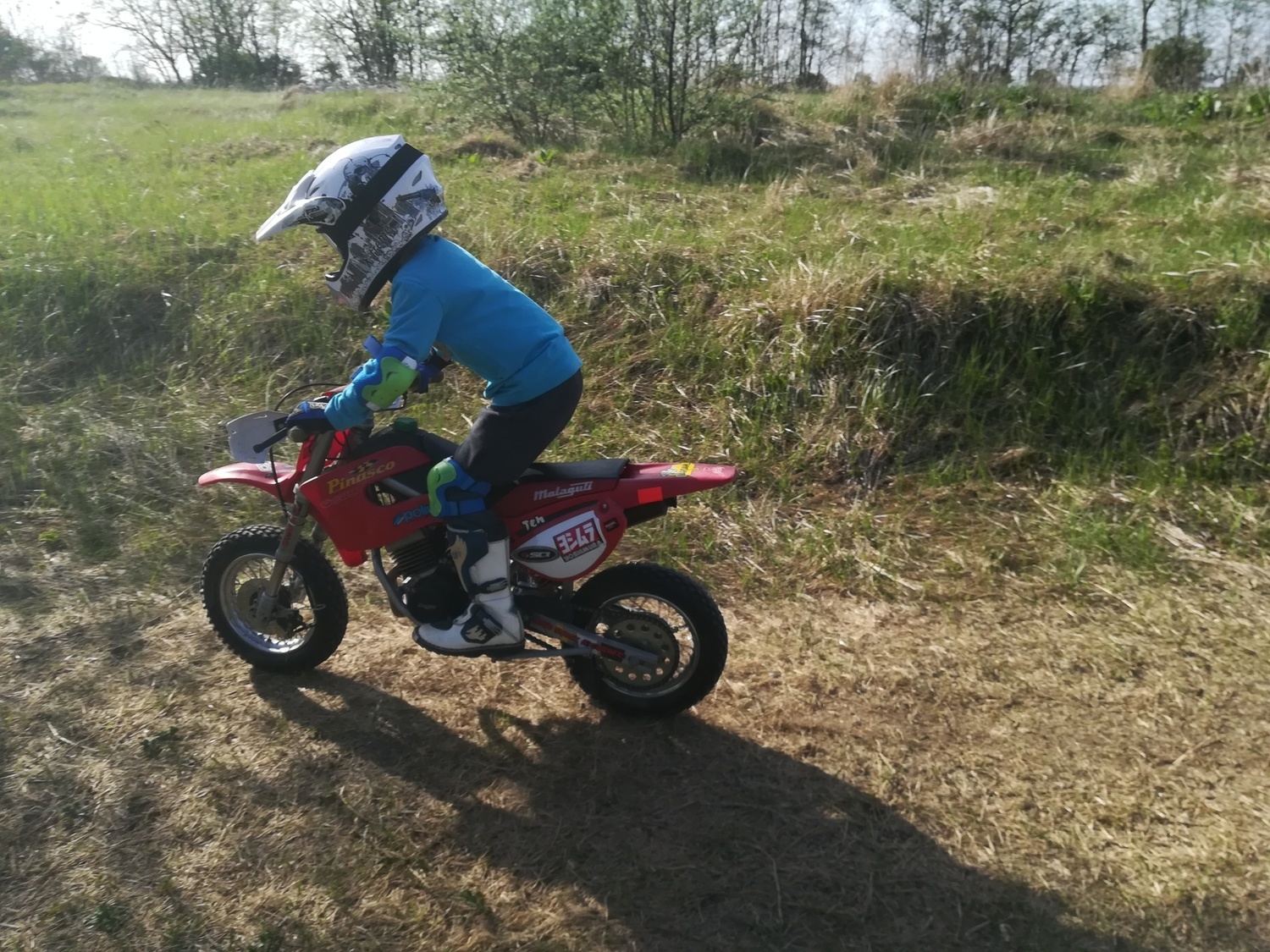 Photo 2814227