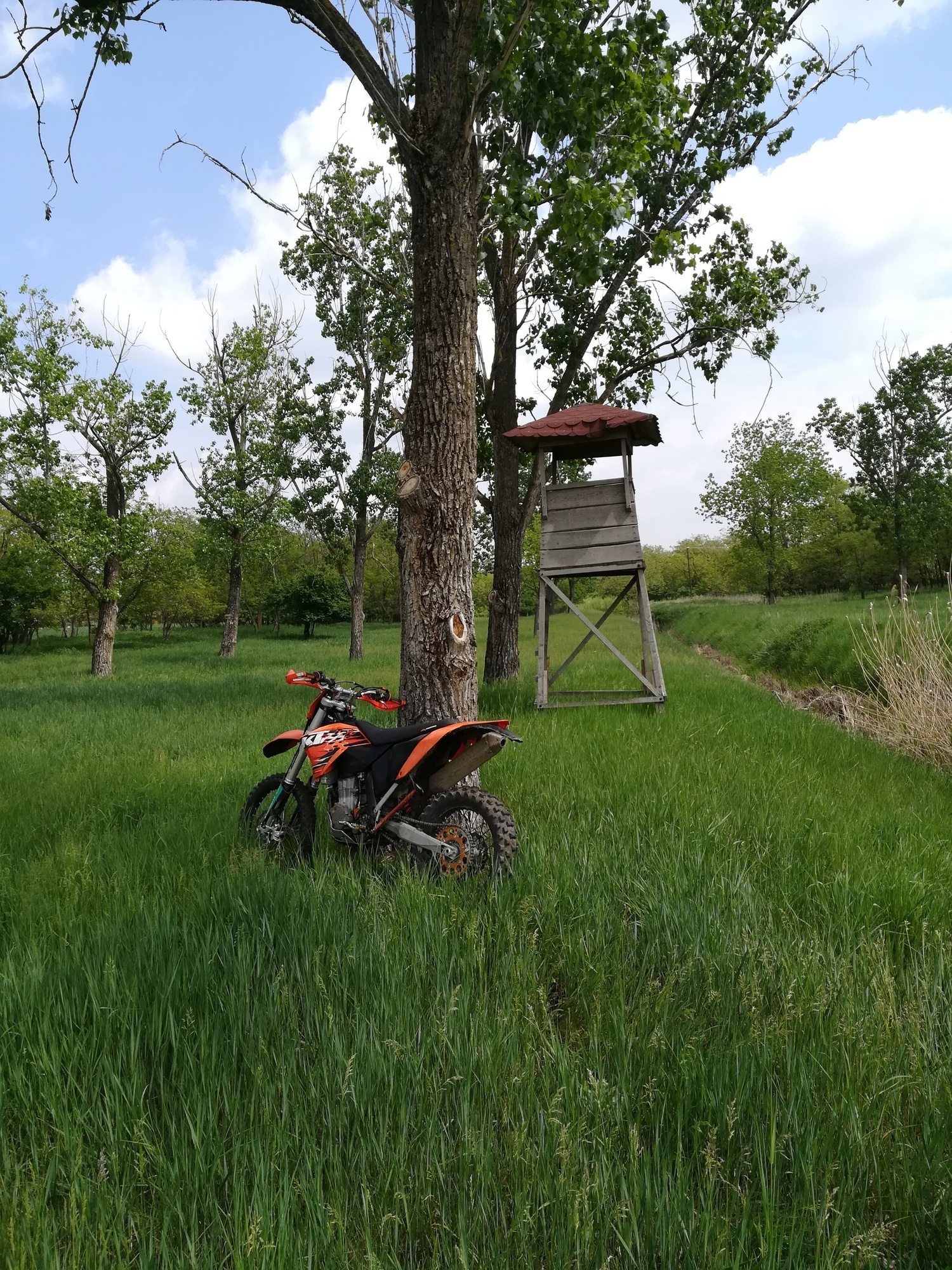 Photo 2814274