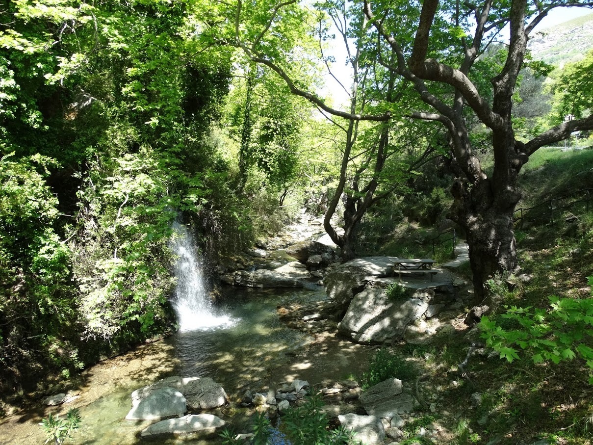 Photo 2814320