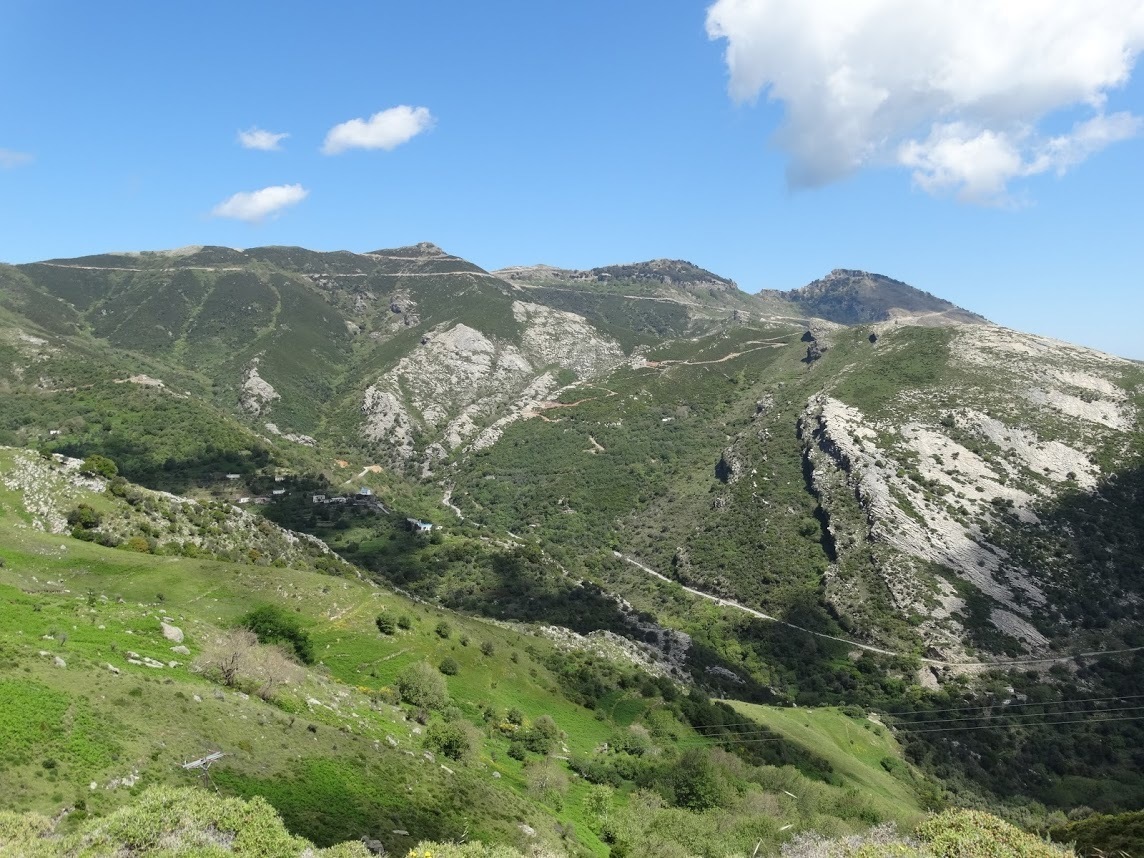 Photo 2814321