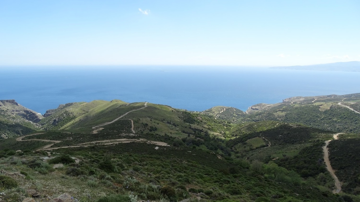 Photo 2814322