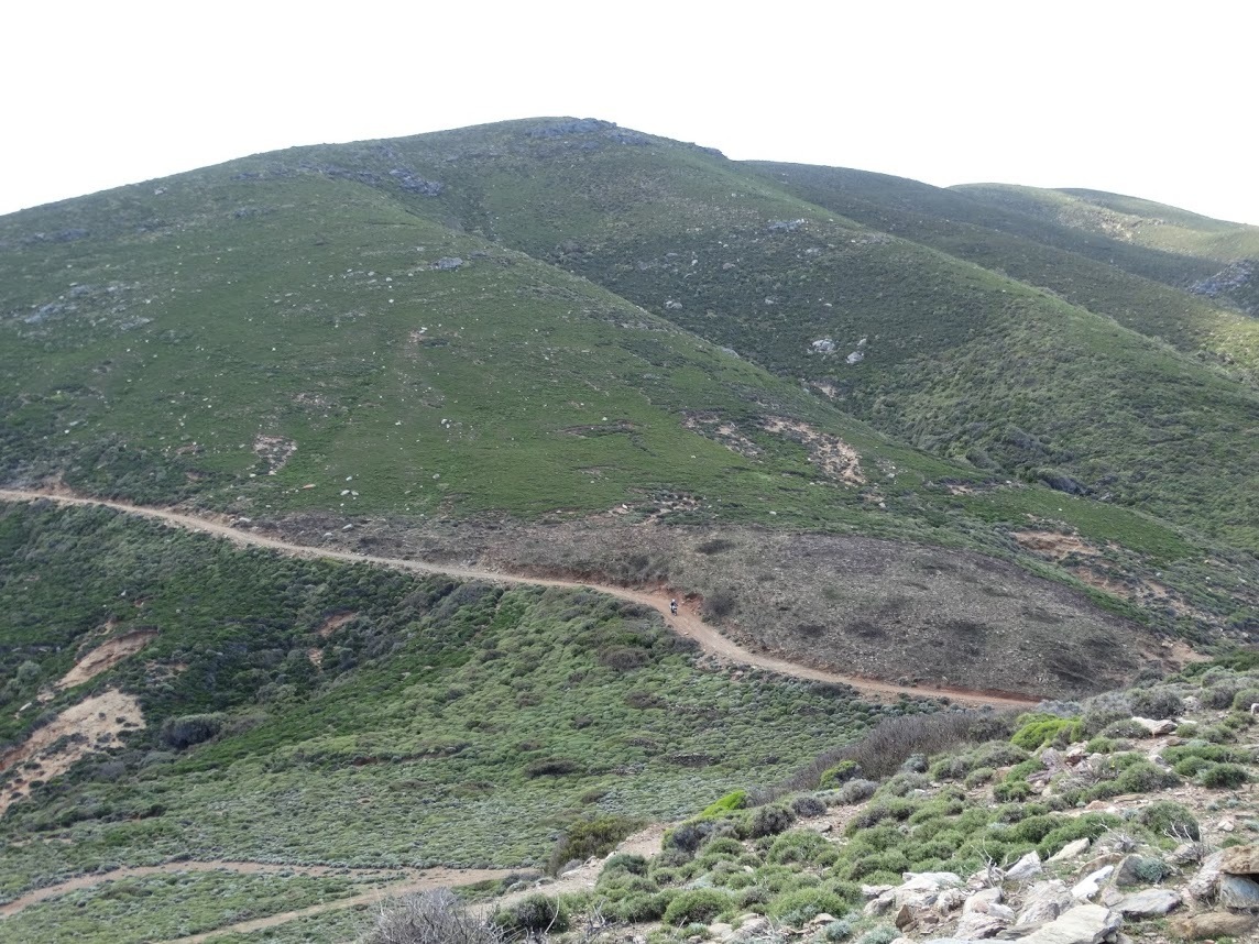 Photo 2814330