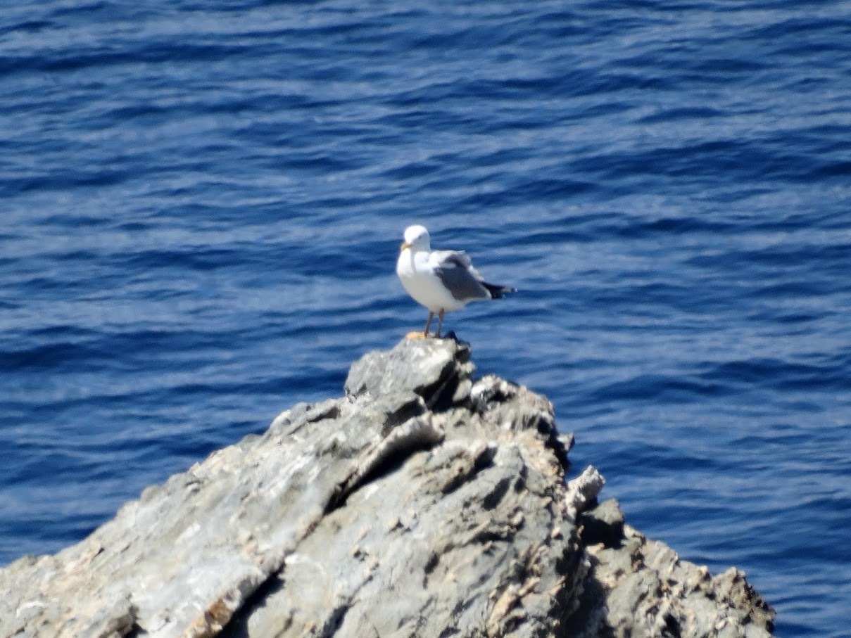 Photo 2814332