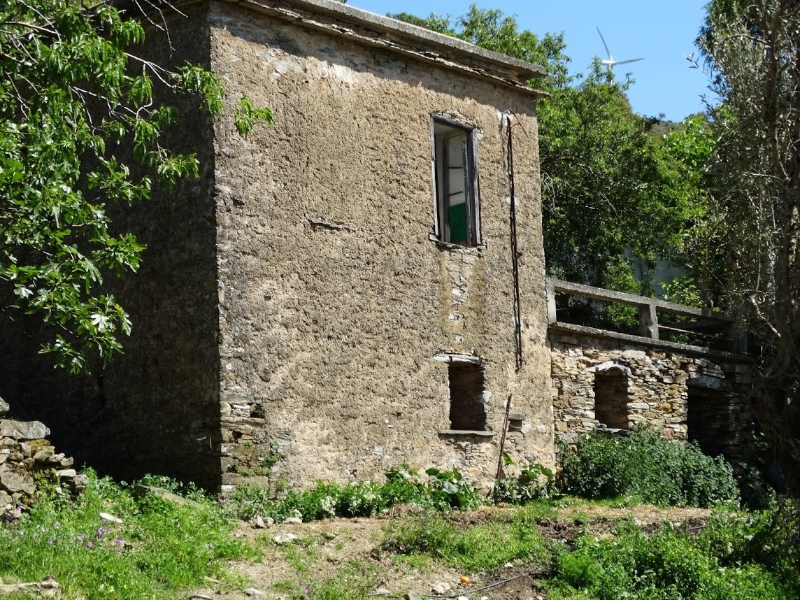Photo 2814337