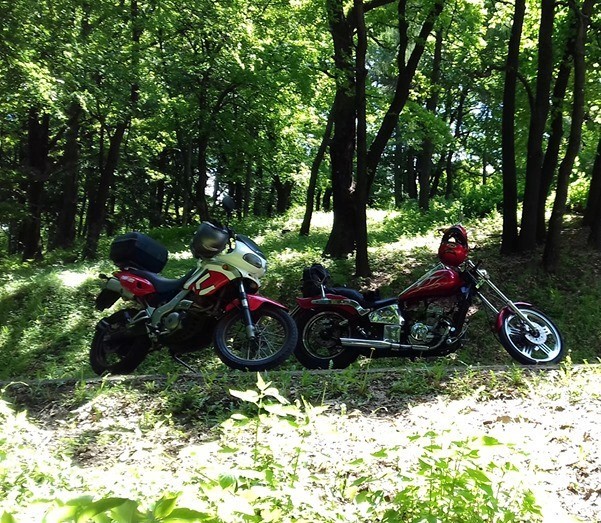 Photo 2814596