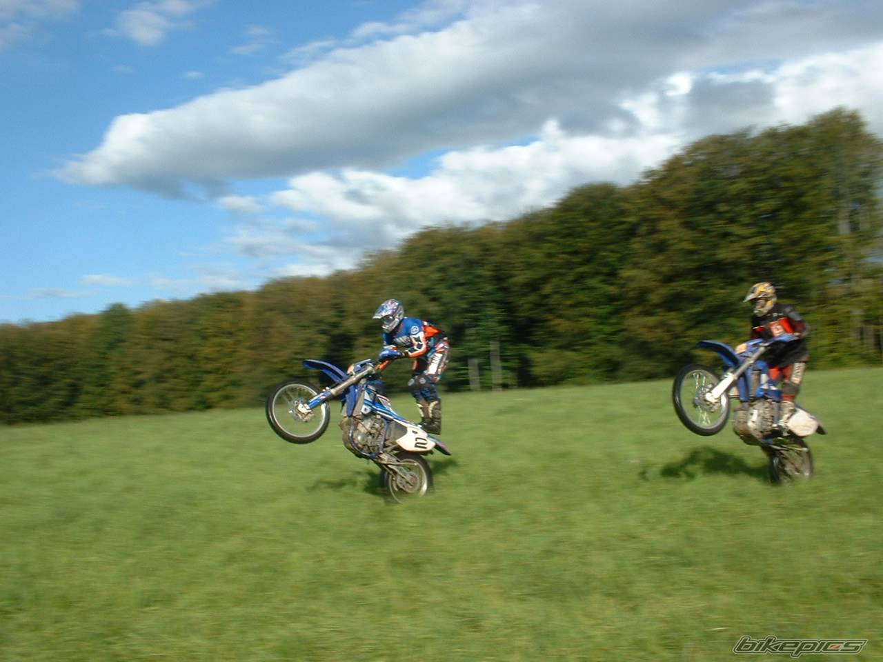Photo 281473