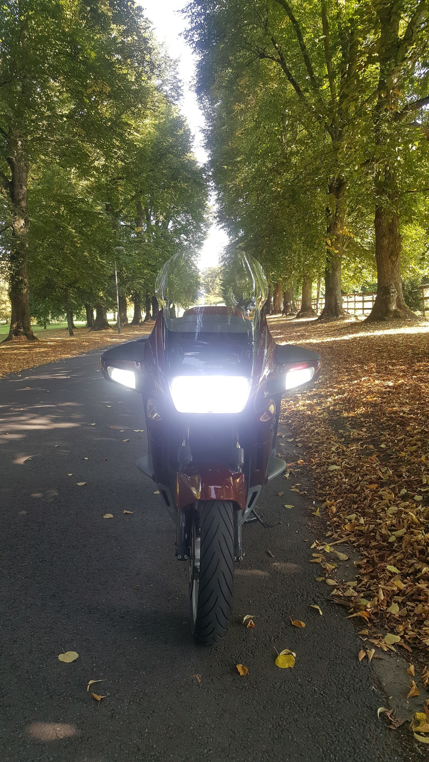 Bike Photo 2814843
