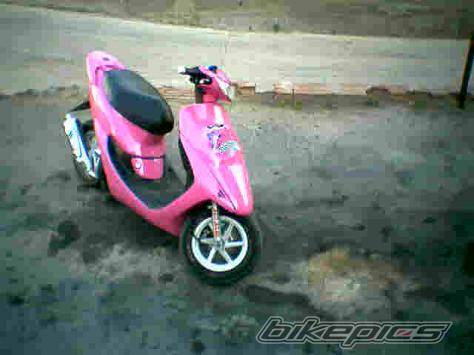 Photo 281485