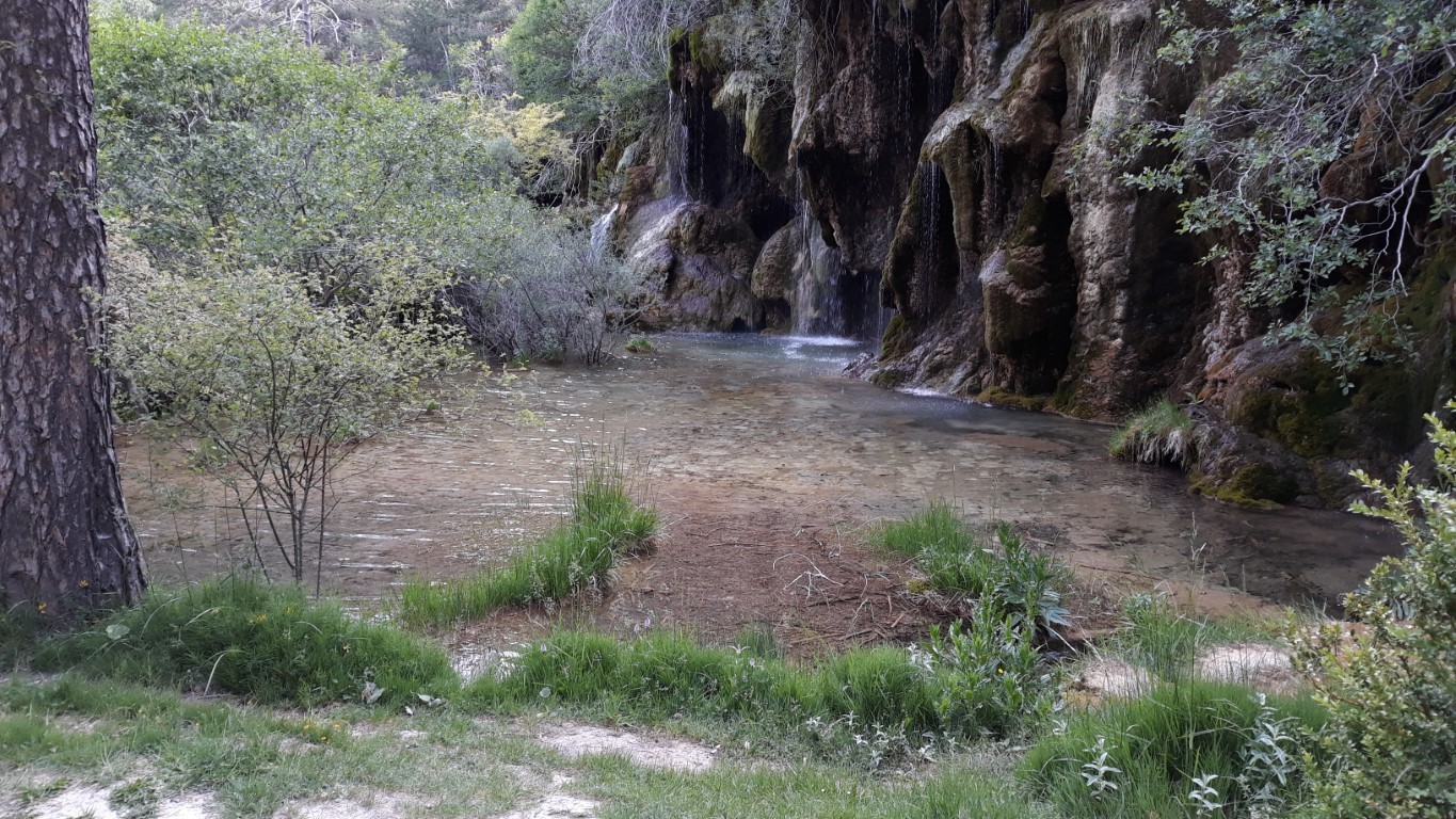 Photo 2815036