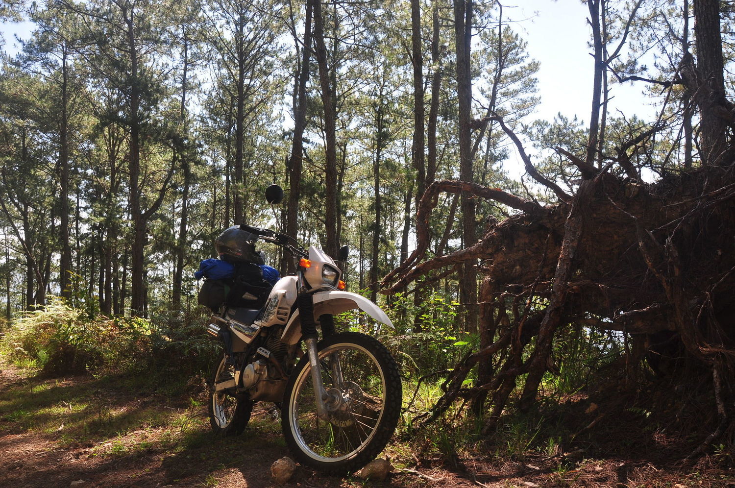Photo 2815143