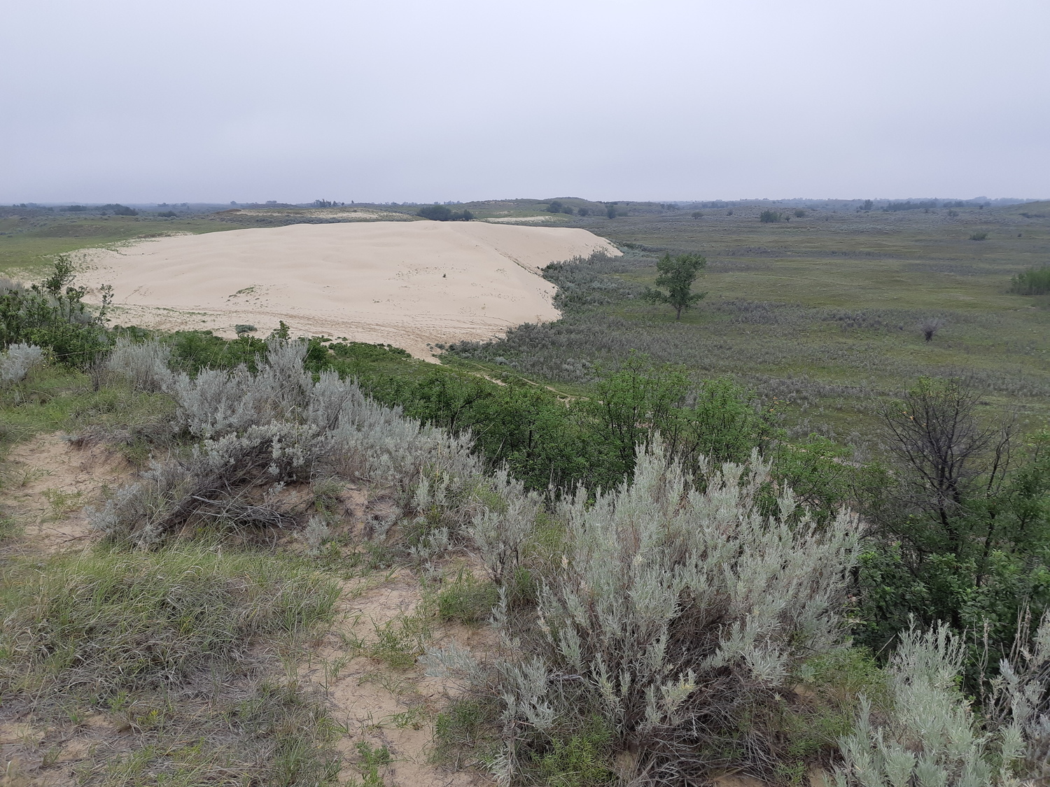 Photo 2815270