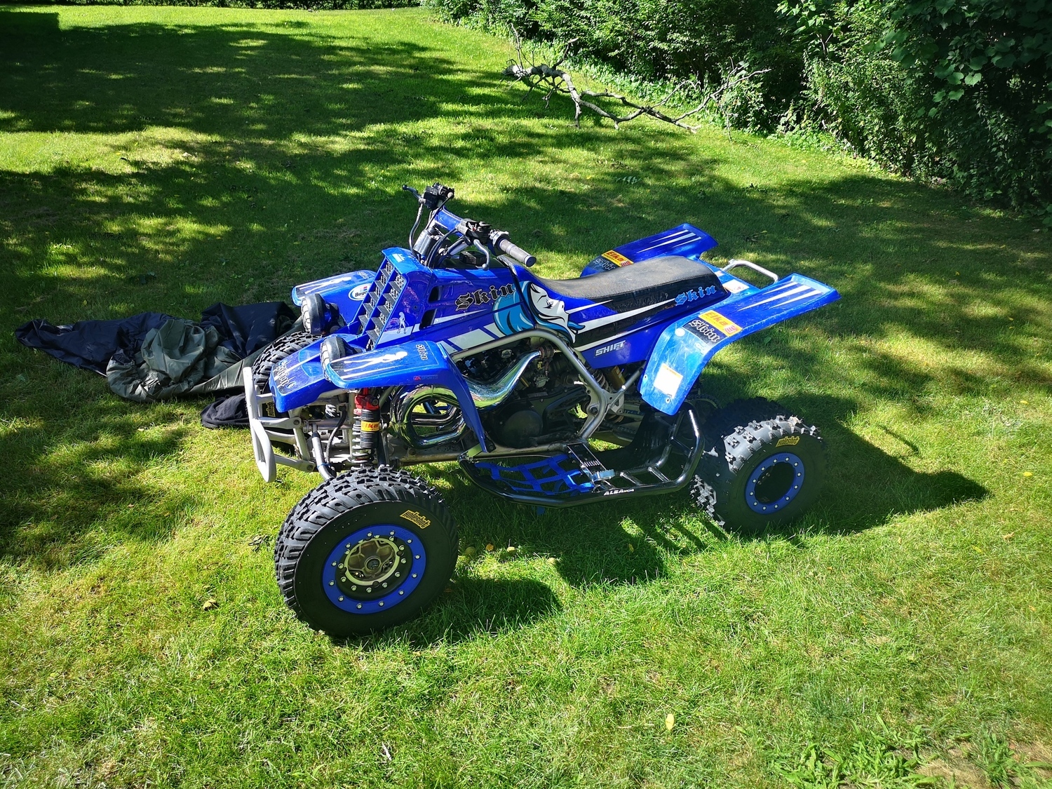 Photo 2815370