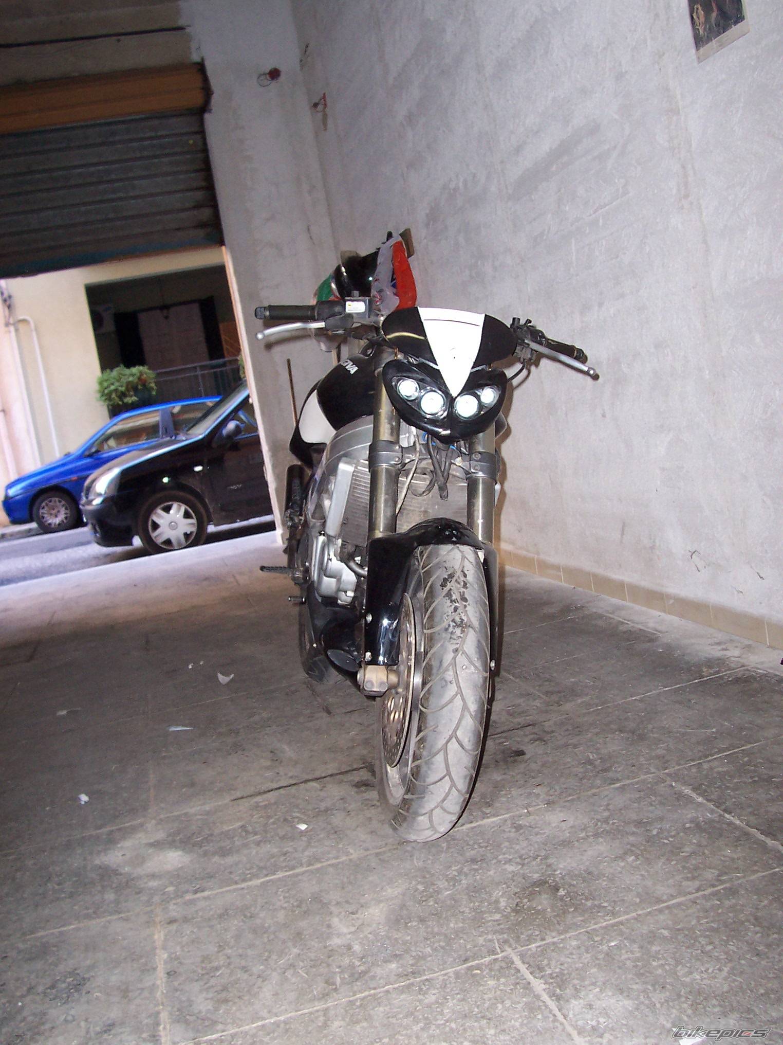Photo 281541