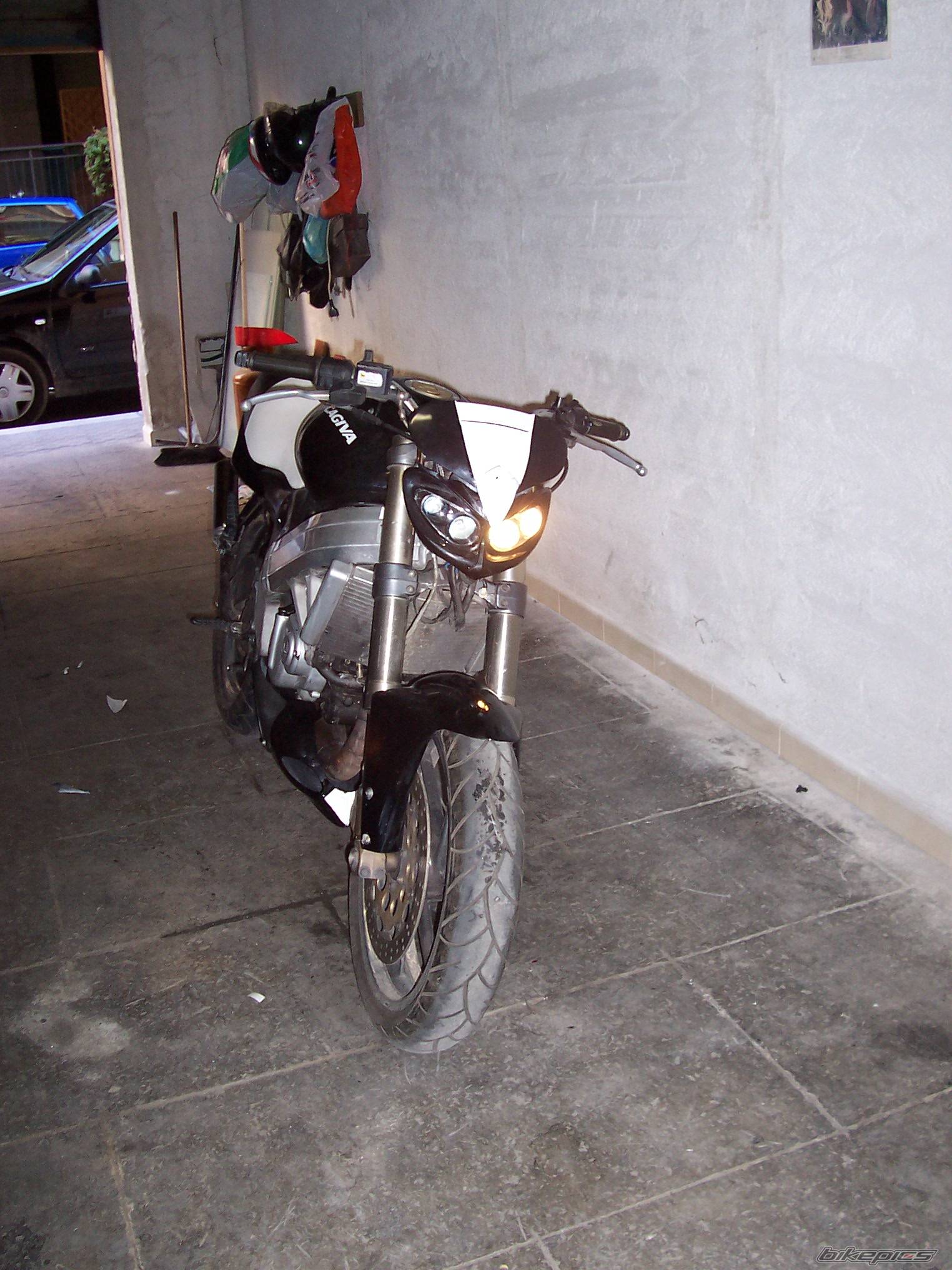 Photo 281553