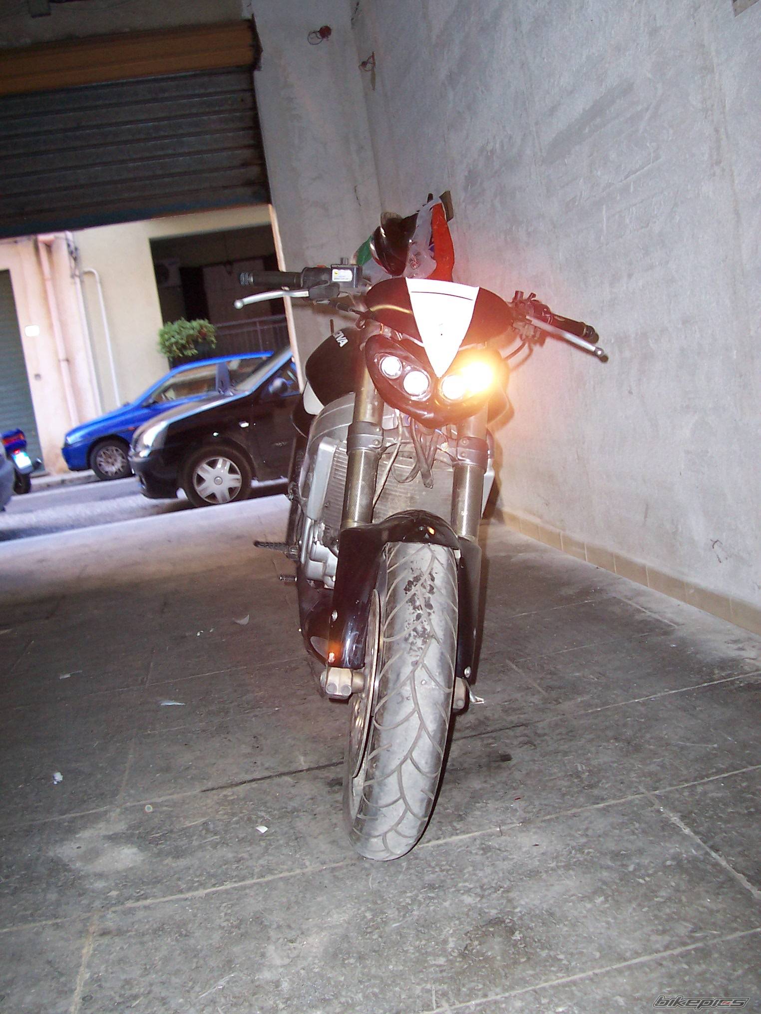Photo 281555