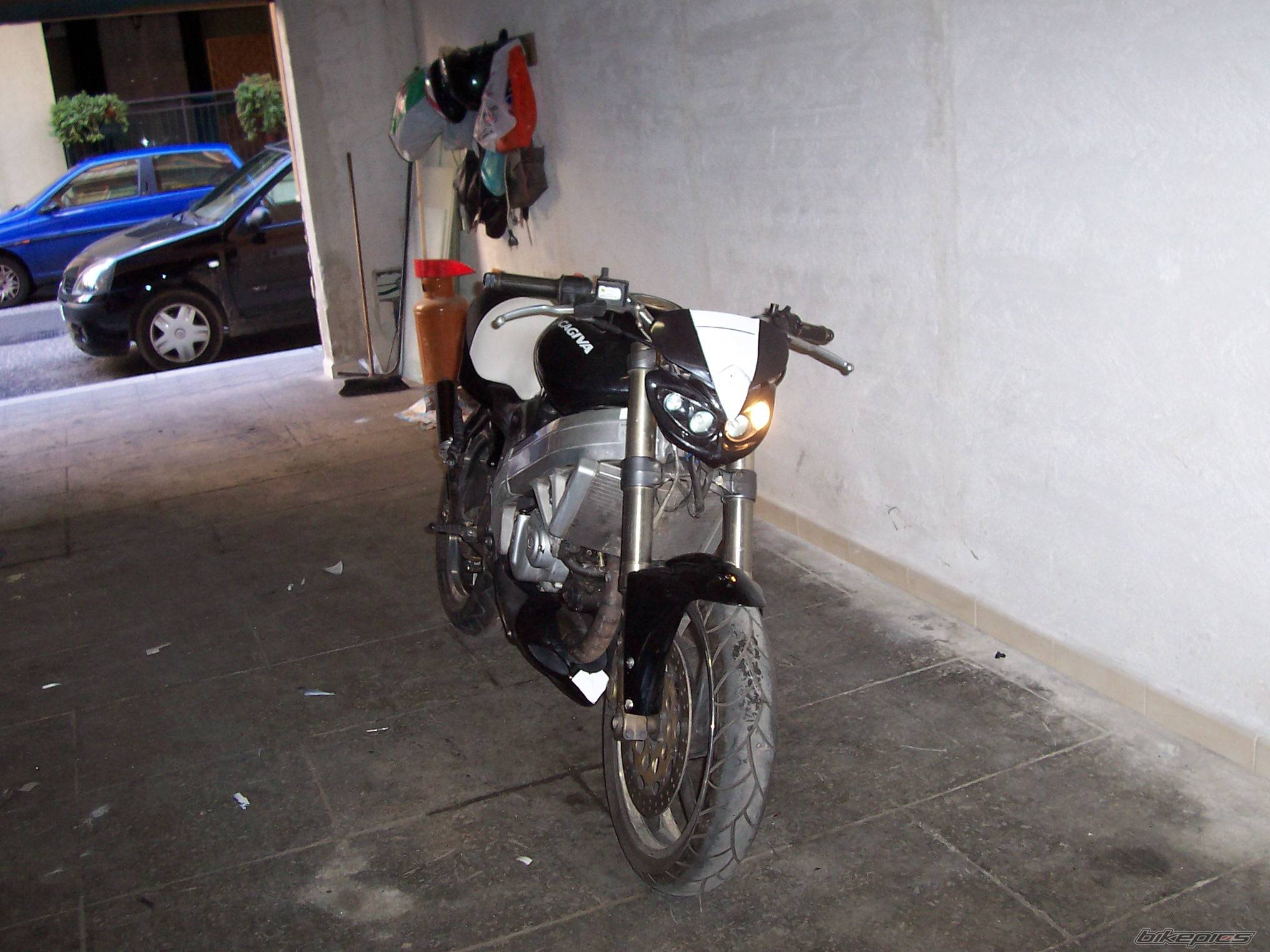 Photo 281562